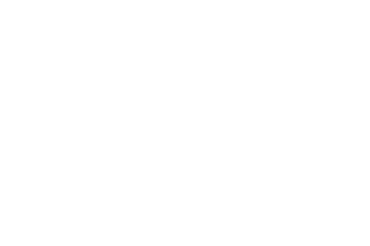 Royal Enfield