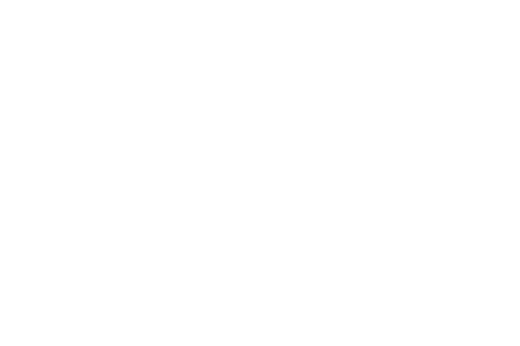 Jagermeister